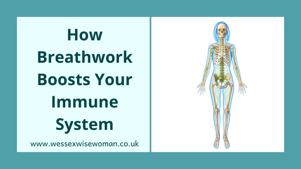 How Breathwork Boosts Your Immune System