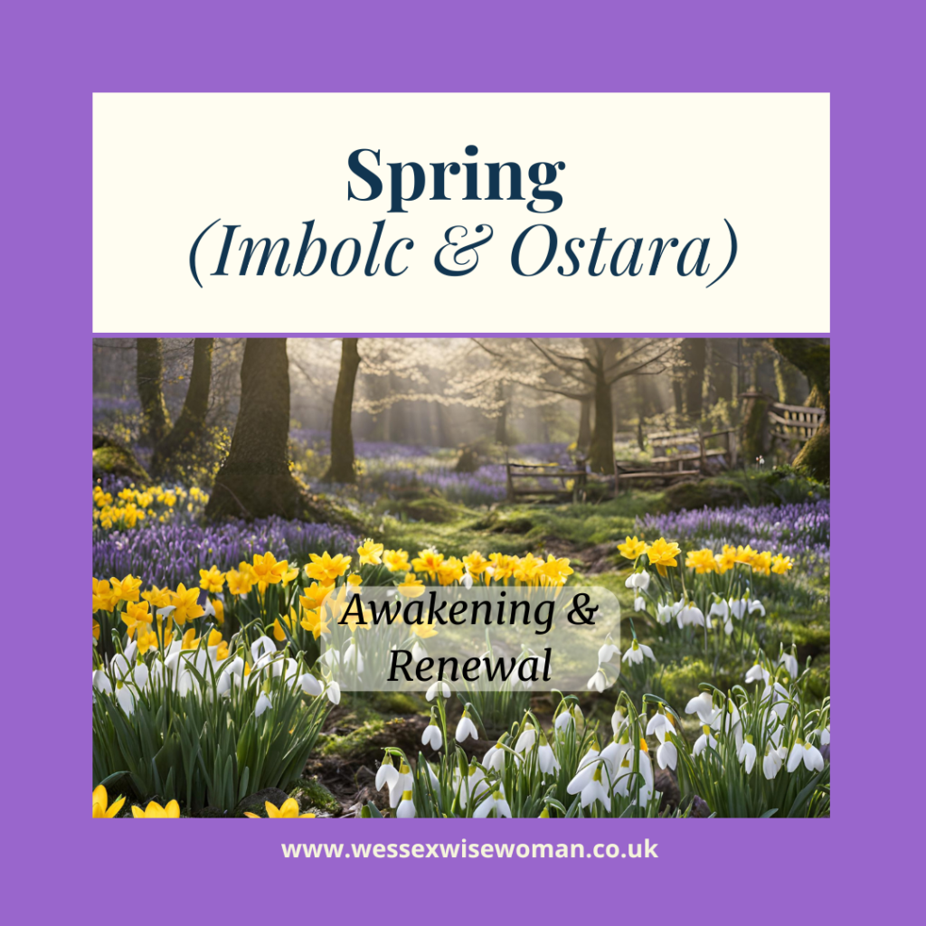 Spring (Imbolc & Ostara) – Awakening & Renewal